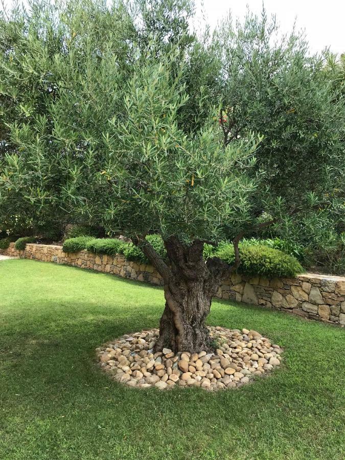 Belle Villa Dans Clos Prive - Saint Raphael Boulouris Dış mekan fotoğraf